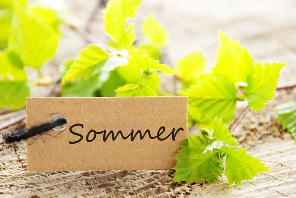 Etikett mit Sommer — Stockfoto