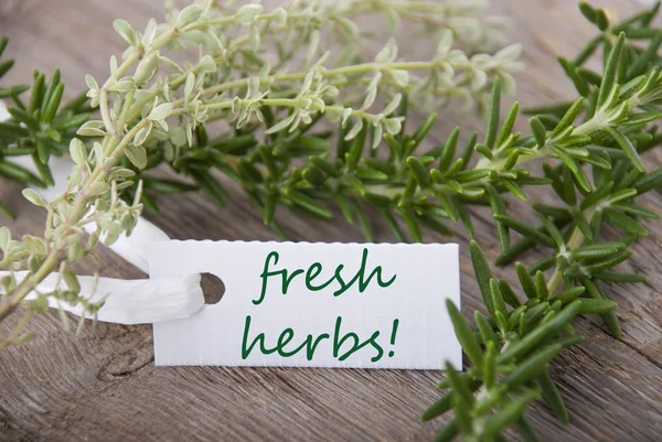 Étiquette blanche aux herbes fraîches — Photo