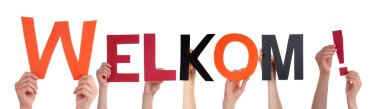 insanlar holding welkom