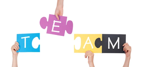 Hands Holding Puzzle with Team — Stock Photo, Image