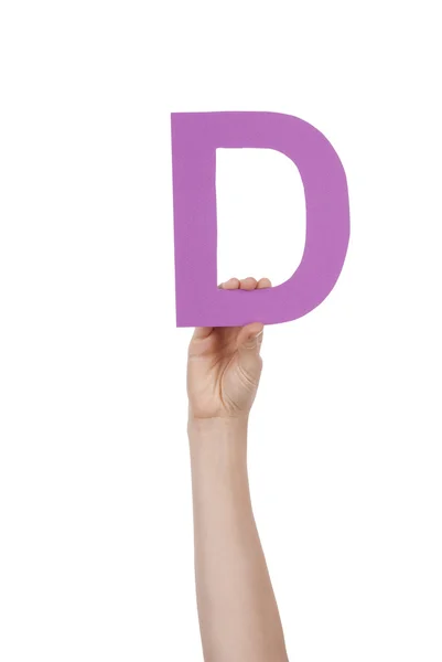 Hand Holds D — Stock Photo, Image