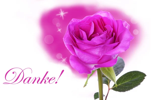 Rosa rosa com Danke — Fotografia de Stock