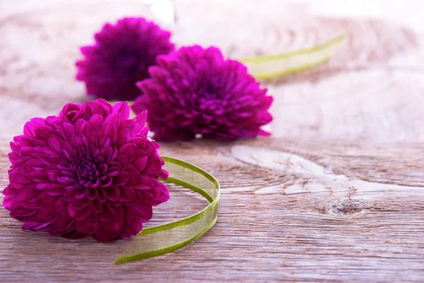 Fond avec des fleurs violettes — Photo