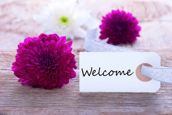 Label with Welcome — Stock Photo, Image