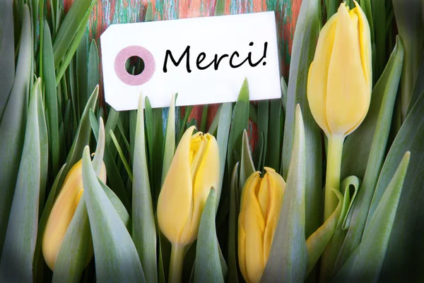 Tulip achtergrond met merci — Stockfoto