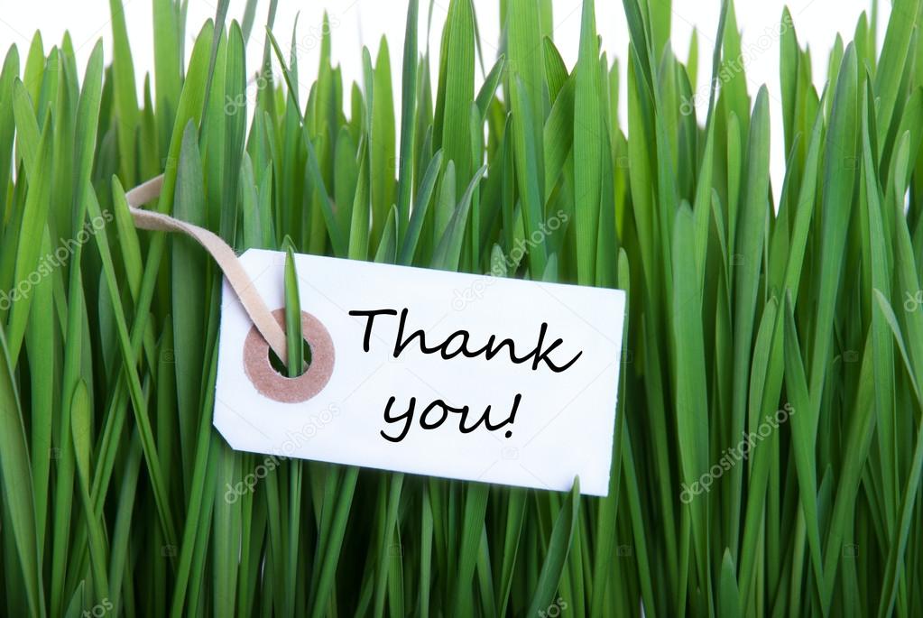 Gras Background with Thank You