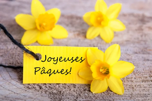 Label with Joyeuses Paques — Stock Photo, Image