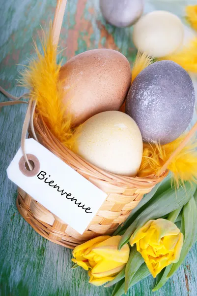 Wielkanoc gniazdo z bienvenue — Zdjęcie stockowe