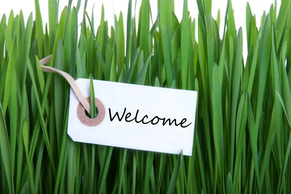 Label in the Gras with Welcome — Stock Photo, Image