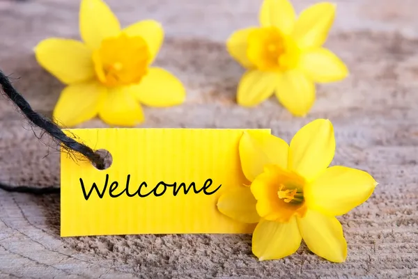Etiqueta amarela com bem-vindo — Fotografia de Stock