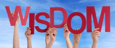 bilgelik havada tutan eller