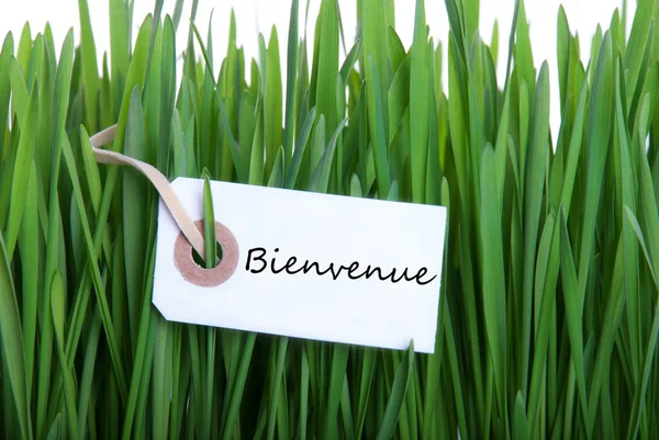 Label with Bienvenue — Stock Photo, Image