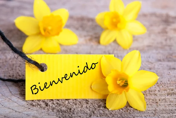 Bienvenido Tag — Stock Photo, Image