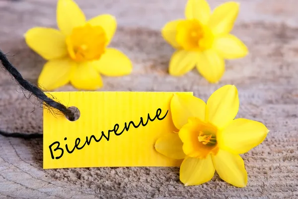 Label met bienvenue — Stockfoto