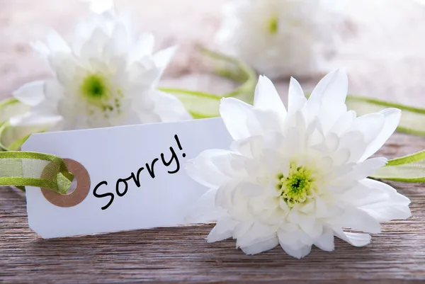 Tag with Sorry — Stock Photo, Image