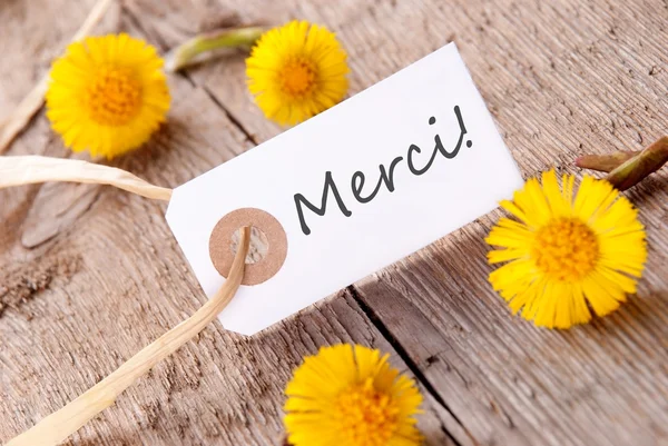 Merci Banner — Stock Photo, Image