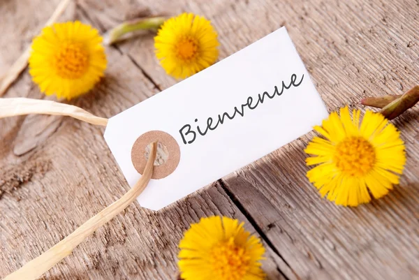 White Banner with Bienvenue — Stock Photo, Image