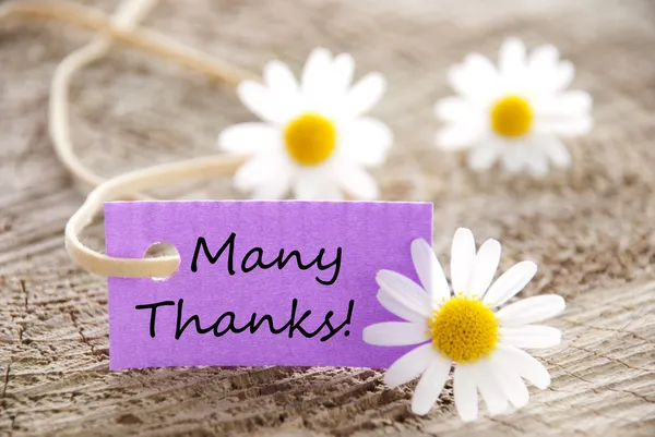 Violettes Etikett mit vielen Dankesworten — Stockfoto
