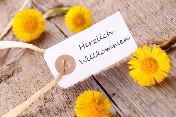 Vit banderoll med herzlich willkommen — Stockfoto