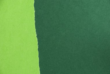 yeşil kağıt dokusu