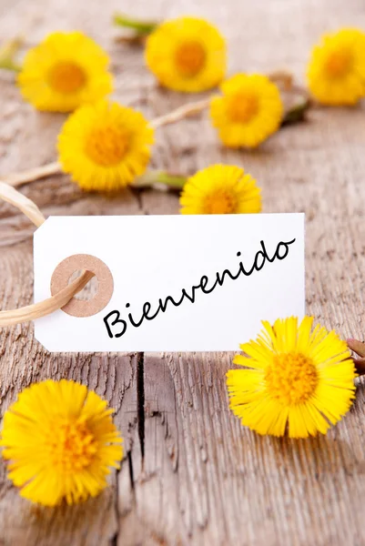 Gelbe Blüten mit bienvenido — Stockfoto