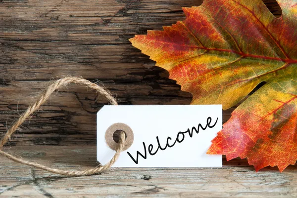 Autumnal Background with Welcome — Stock Photo, Image