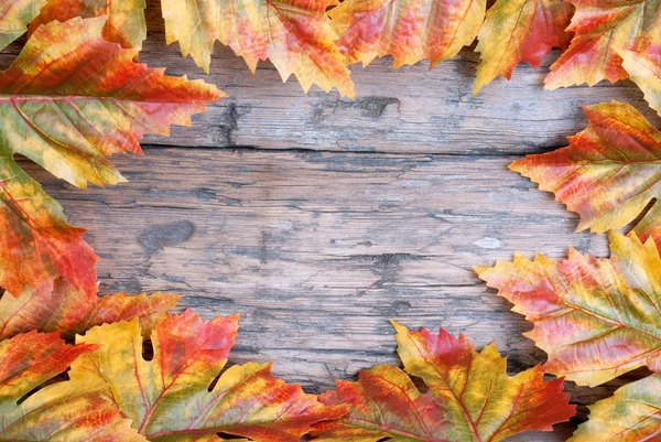 Cornice in foglia d'acero su legno — Foto Stock