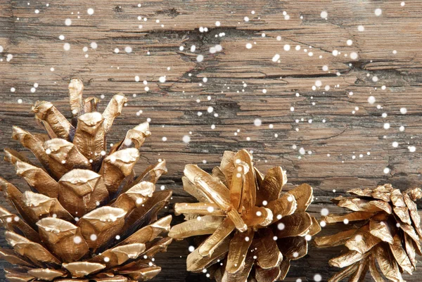 Cônes de sapin doré avec neige — Photo