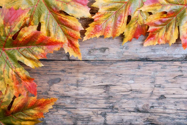 Sfondo autunno — Foto Stock