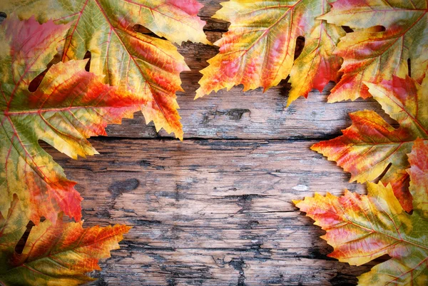 Feuilles d'érable sur bois — Photo