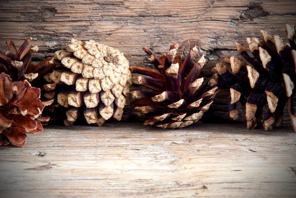 Naturlig höst bakgrund — Stockfoto