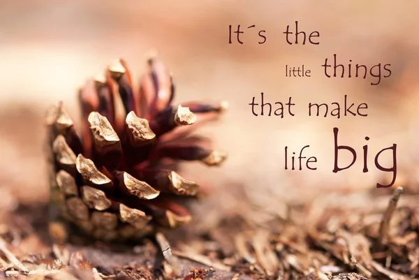 köknar koni ile söyleyerek yapmak hayat büyük küçük şeylerdir