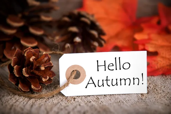 Tag com Hello Autumn — Fotografia de Stock