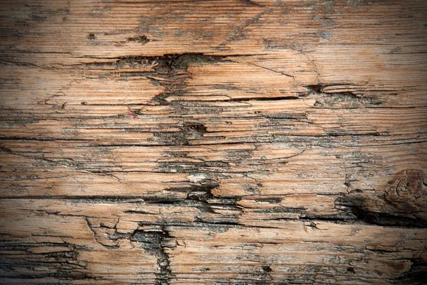 Výstřední texturu dřeva — Stock fotografie