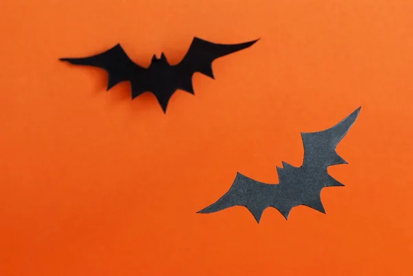 Två fladdermöss som halloween bakgrund — Stockfoto