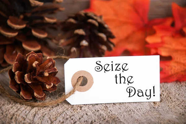 Autumn Label with Seize the Day — Stock Photo, Image