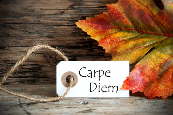 Herbst-Etikett mit Carpe diem — Stockfoto