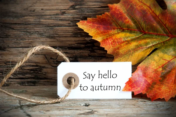 Etiqueta con Decir Hola a Otoño — Foto de Stock