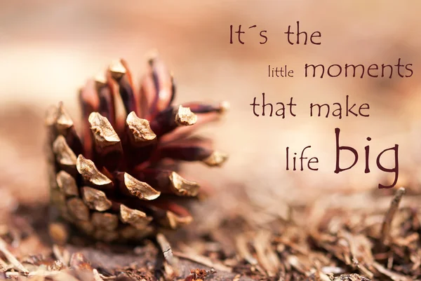 Fir Cone with Saying Its the little Moments that make Life Big — Stock Photo, Image