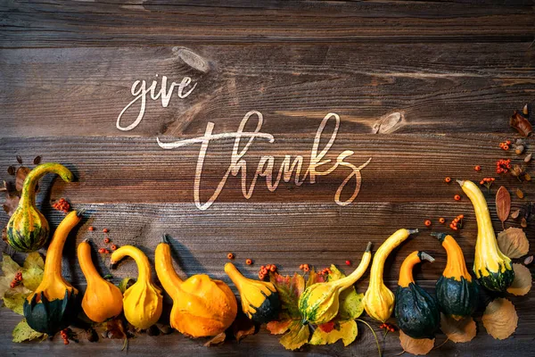Decoração de abóbora de outono, texto inglês Dê graças — Fotografia de Stock
