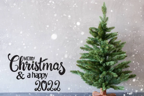 Albero, Buon Natale e un felice 2022, Cemento sfondo, Fiocchi di neve — Foto Stock