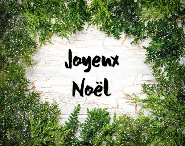 Χριστουγεννιάτικη Κάρτα Καταστήματα Fir Και Γαλλικό Κείμενο Joyeux Noel Σημαίνει — Φωτογραφία Αρχείου