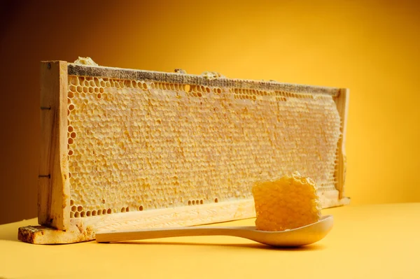 Honeycomb — Stock Photo, Image