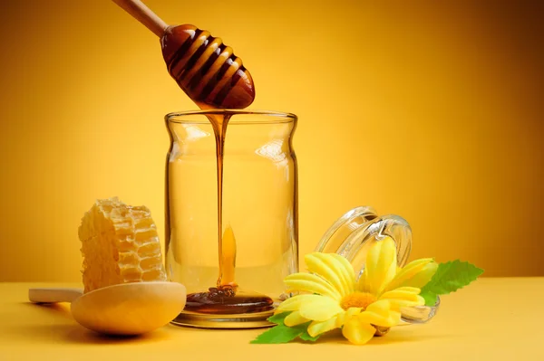 Honeycomb and Honey — Stock Photo, Image