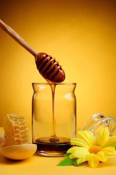 Honingraat en honing — Stockfoto