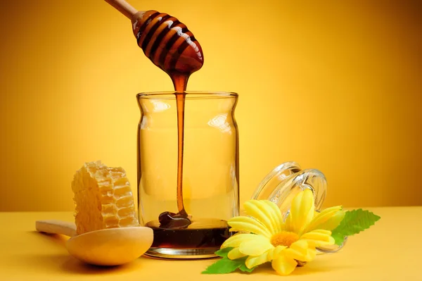 Pente de mel e mel — Fotografia de Stock