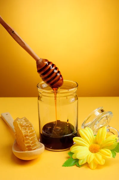 Honeycomb and Honey — Stock Photo, Image