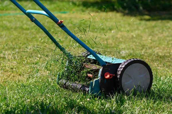 Memotong Rumput Dengan Mesin Pemotong Rumput — Stok Foto