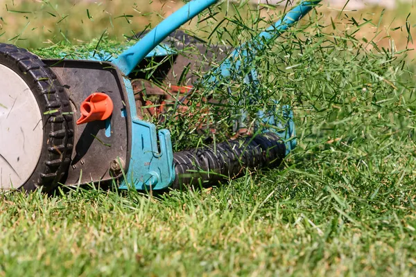 Memotong Rumput Dengan Mesin Pemotong Rumput — Stok Foto