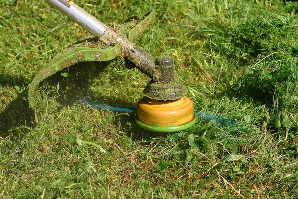 Pemotong Rumput Rumput Hijau Pemangkas Close — Stok Foto